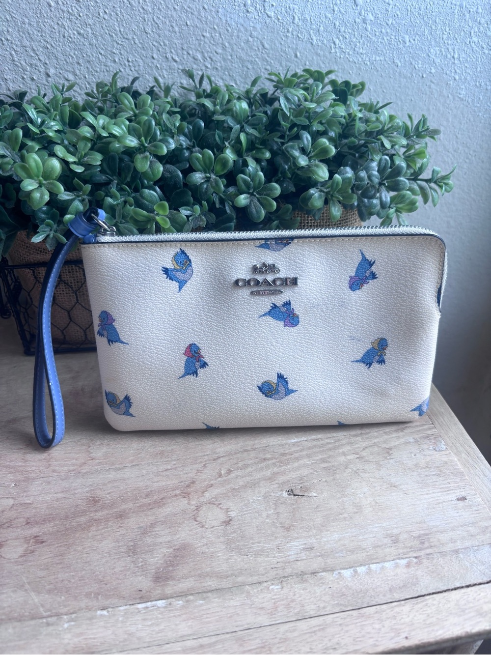 Coach Cinderella Wristlet